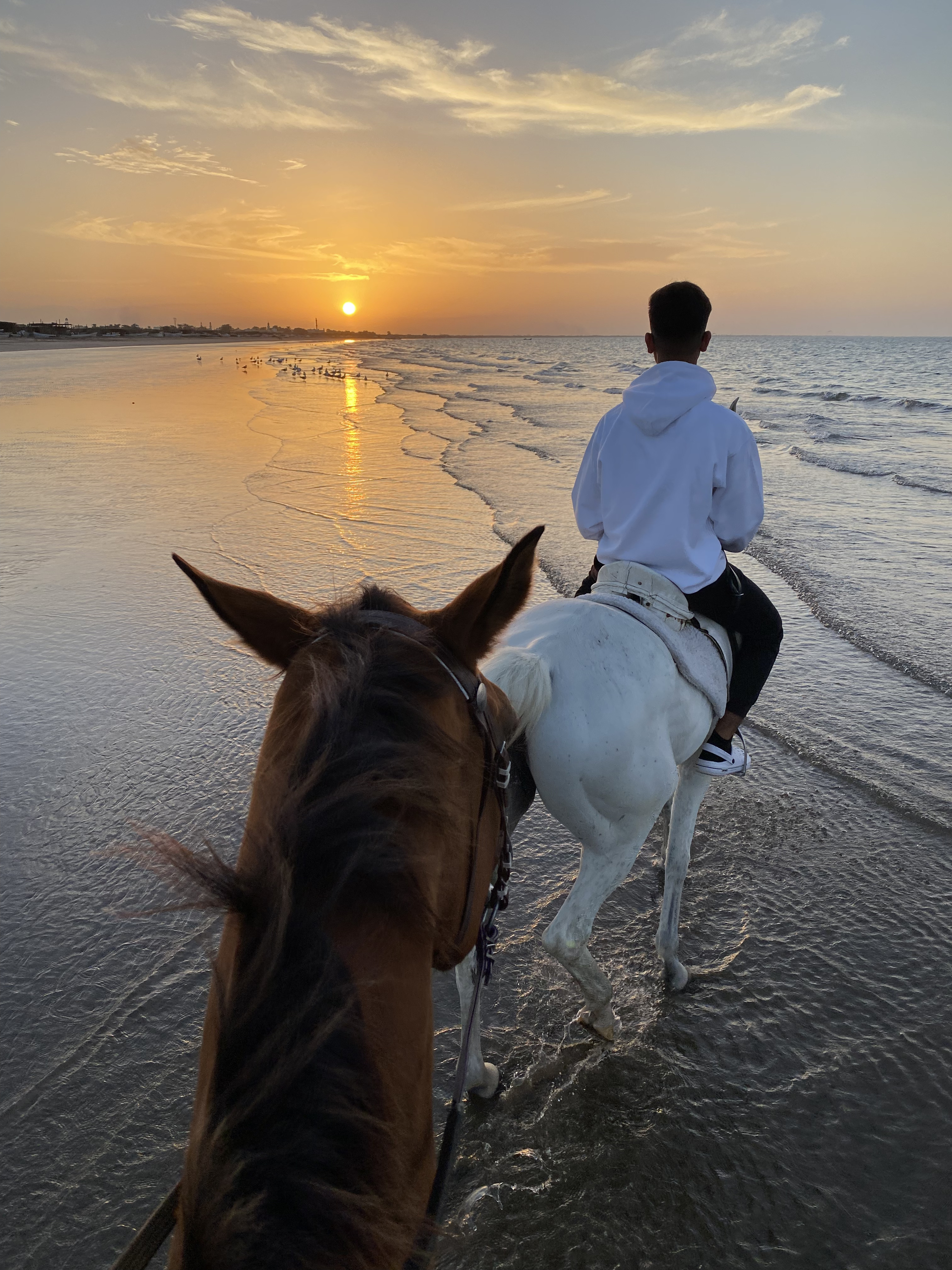 Horse riding 30 Minutes