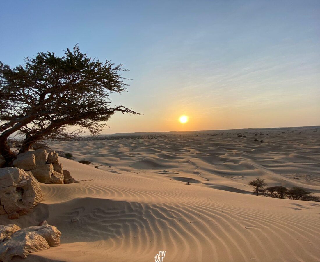 Desert Tours